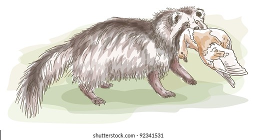 Raccoon with a bird. Vector illustration.