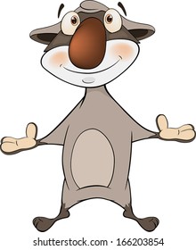 Raccoon. Cartoon 