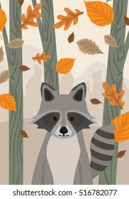 Raccoon cartoon animal vector autumn illustration with trees and leaves