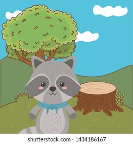 Raccoon cartoon design vector illustrator