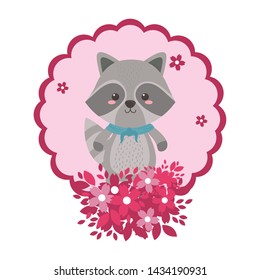 Raccoon cartoon design vector illustrator