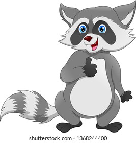 Raccoon cartoon thumb up