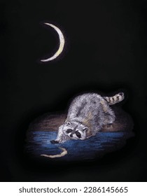 Raccoon catches a fish in the pond for a moon night fairy tale striped tail