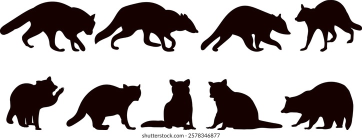 raccoon collection, set black silhouette vector