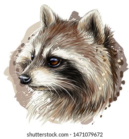 
Raccoon. Color graphic portrait of a raccoon on a white background with watercolor splashes.