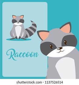 Raccoon Cute animal cartoon