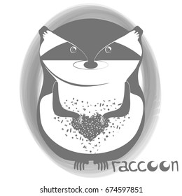 Raccoon decorative vector