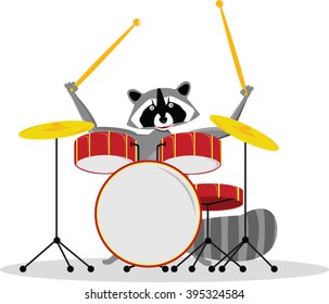 Raccoon drummer