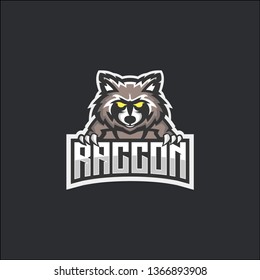 RACCOON E-SPORT LOGO IDEAS