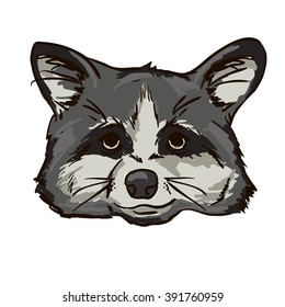 raccoon face