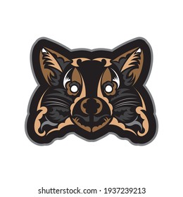 Raccoon face boho style pattern. Good covers, fabrics, postcards and printing. Vector illustration.