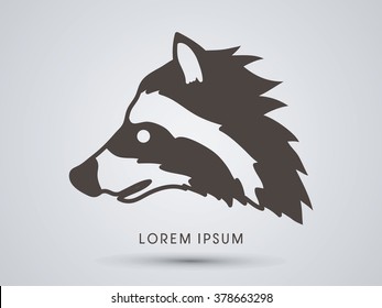 Raccoon Face graphic vector.