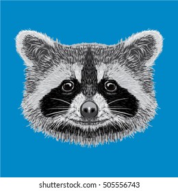 raccoon face vector