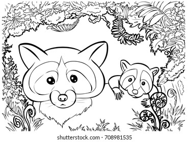 Raccoon family - coloring page