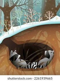 Raccoon family sleeping or hibernating in a den or burrow. Cute raccoons forest habitat illustration for children. Animals sleep in the woods cute wildlife graphics. Vector drawing for kids.