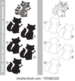 Raccoon to find the correct shadow, the matching educational kid game to compare and connect objects and their true shadows, simple gaming level for preschool kids.