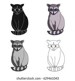 Raccoon is a forest animal. A wild beast is a raccoon. The tail of a raccoon is striped.Animals single icon in cartoon style vector symbol stock illustration web.