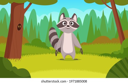 Raccoon in forest. Cartoon animals walking in wood happy cute wild raccoon mammals exact vector background illustration