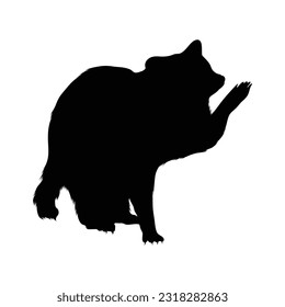 Raccoon Front View Silhouette. Good To Use For Element Print Book, Animal Book and Animal Content