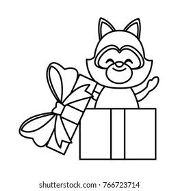 Raccoon in giftbox
