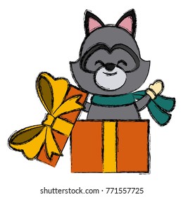 Raccoon in giftbox