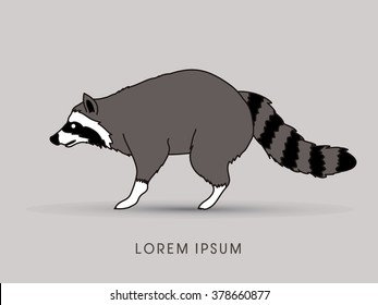 Raccoon graphic vector.