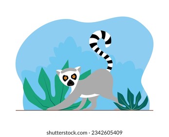 A raccoon with gray fur walks around its nest, in search of food, forest vector illustration.