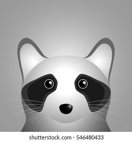 Raccoon head. 