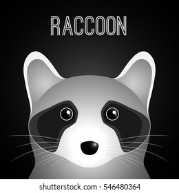 Raccoon head. Gray background.