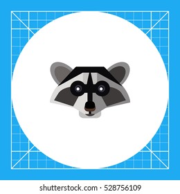 Raccoon head icon
