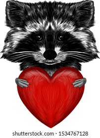 Raccoon Heart Cute Love Stock Vector (Royalty Free) 1534767128