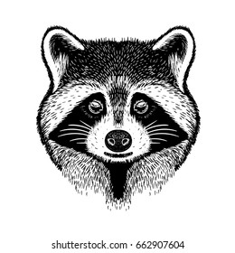 Raccoon hipster handdrawn vector illustration