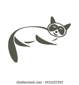 Raccoon icon Anuimal logo Concept vector illustration