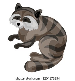 Raccoon icon. Cartoon of raccoon vector icon for web design isolated on white background