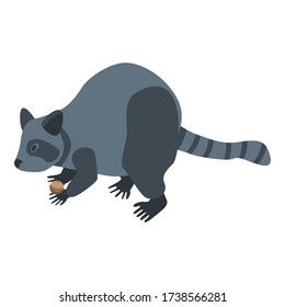Raccoon icon. Isometric of raccoon vector icon for web design isolated on white background