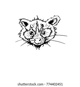 Raccoon isolated. Cute cartoon animal. Funny character. Vector. Black and white. Coloring book pages for adult, kids. Illustration, gift greeting card, branding, logo, label, emblem
