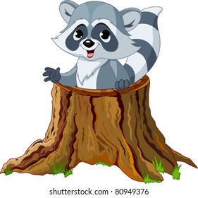 Raccoon looking out from a fallen tree stump