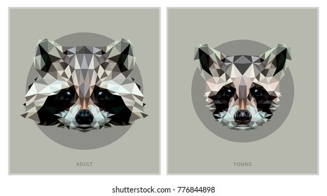 Raccoon Low Poly Animals Illustration