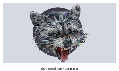 Raccoon Lowpoly Illustration