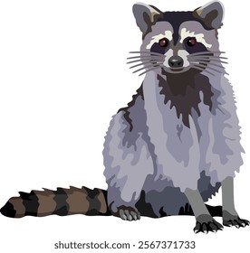 Raccoon Mammal Wildlife Animal Vector