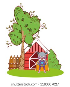 raccoon with mask and cape in the farm house