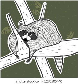 raccoon, nature, sticker