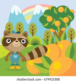 Raccoon In Orange Tree Cartoon Vector Illustration