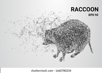 Raccoon of the particles. A raccoon consists of circles and dots. The raccoon splits into molecules.