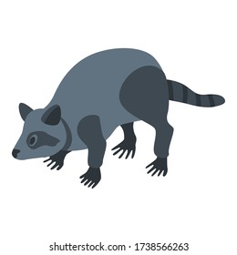 Raccoon pet icon. Isometric of raccoon pet vector icon for web design isolated on white background