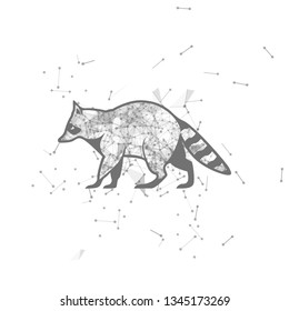 raccoon.  Polygonal wireframe raccoon silhouette. low poly vector illustrations on background of points and lines.