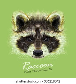 Raccoon Procyon lotor wild animal face. Vector cute North American mask raccoon head portrait. Realistic fur portrait of funny trash cat racoon isolated on green background.