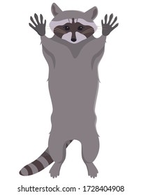 Raccoon Pulling Paws. Cute Animal In Cartoon Style.