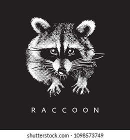 Raccoon - realistic portrait on black background.
Black and white vector illustration in style of engraving, graphic design element for logo (logotype) or template. Cute fluffy animal of North America