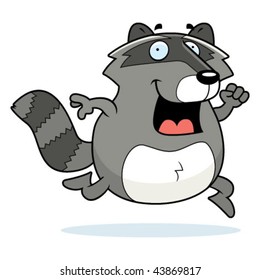 Raccoon Running